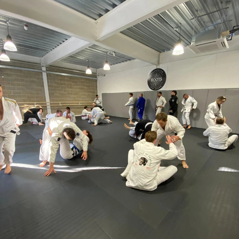 Roots BJJ - Ipswich Brazilian Jiu-Jitsu Images (4)